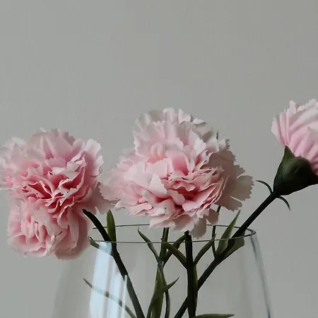 2 Pieces Proche Strasbourg Et Gare Apartamento Bischheim