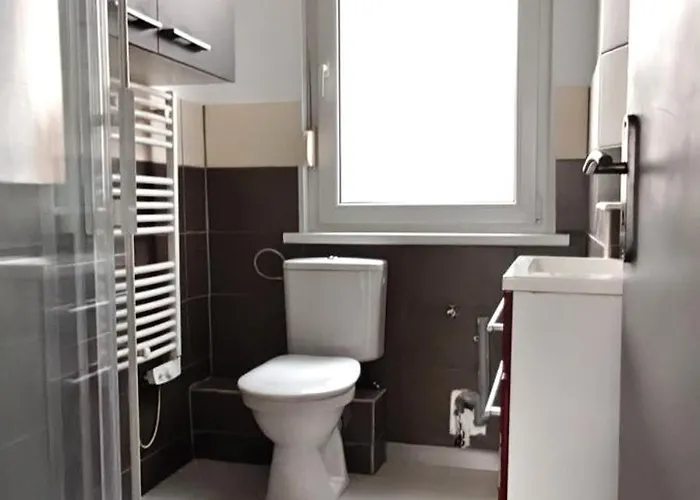 Daire 2 Pieces Proche Strasbourg Et Gare Bischheim